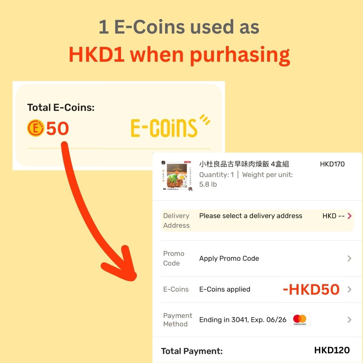 E-Coins Usage and Terms