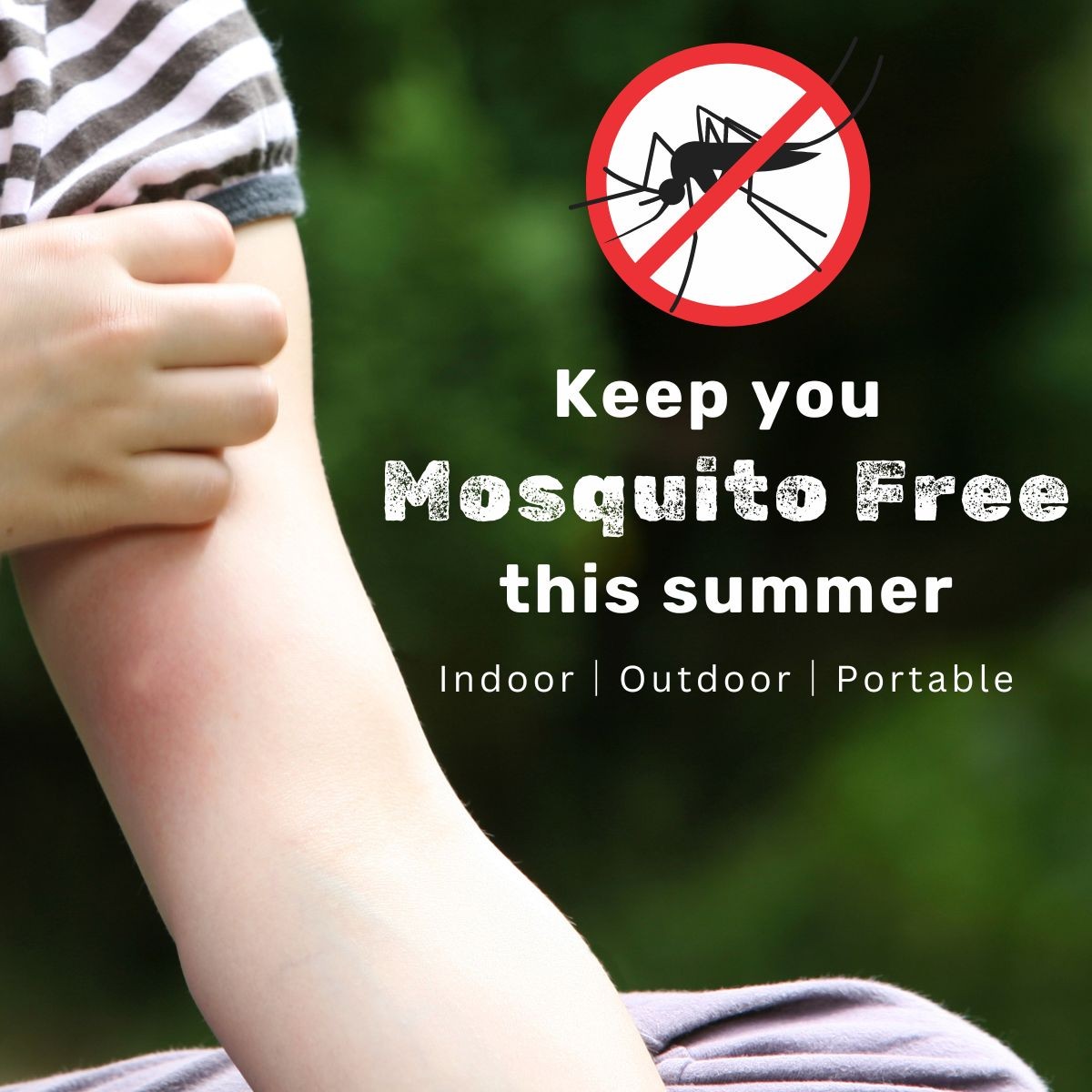 Mosquito-Free